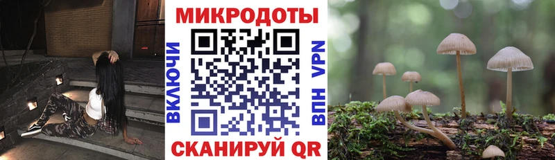 Купить  Мытищи  Псилоцибиновые грибы Psilocybine cubensis 